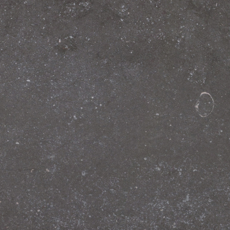 Fossil