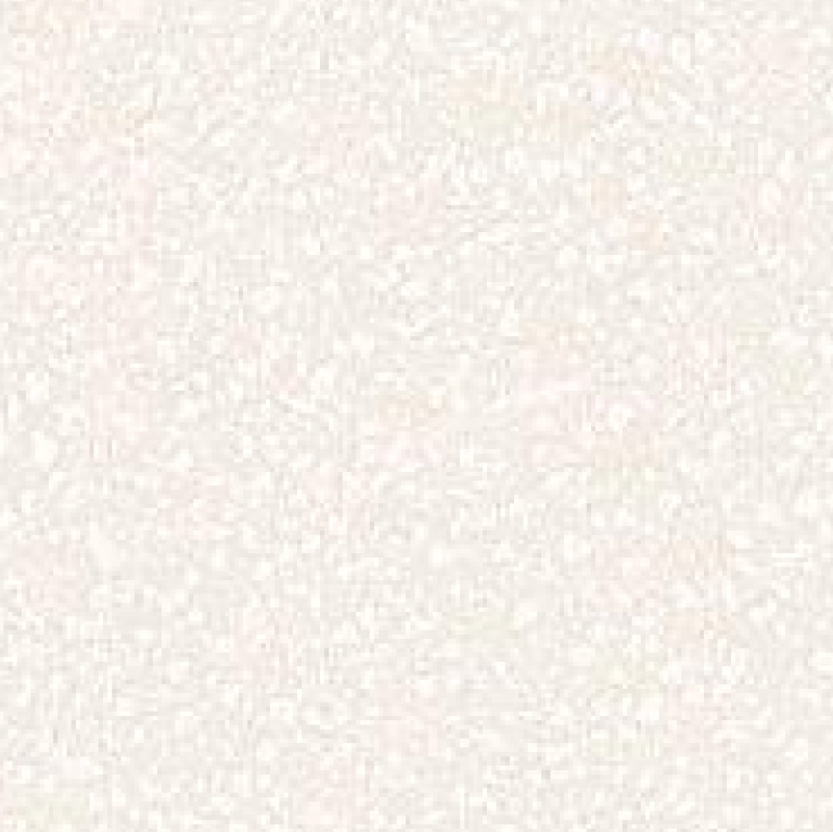 0101 | White Nature