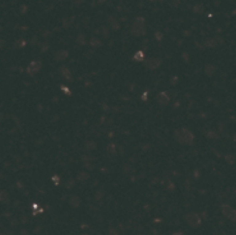 8905 | Blackness
